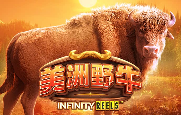 bet9登录app